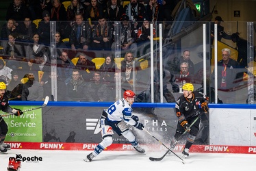 Löwen Frankfurt - Schwenninger Wild Wings - 24.11.23 - 063