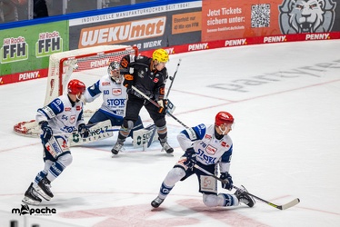 Löwen Frankfurt - Schwenninger Wild Wings - 24.11.23 - 064