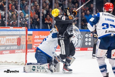 Löwen Frankfurt - Schwenninger Wild Wings - 24.11.23 - 070