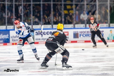 Löwen Frankfurt - Schwenninger Wild Wings - 24.11.23 - 073