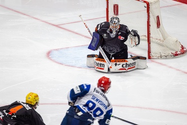 Löwen Frankfurt - Schwenninger Wild Wings - 24.11.23 - 076