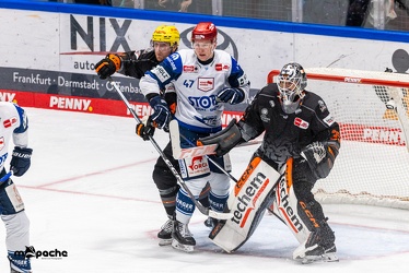 Löwen Frankfurt - Schwenninger Wild Wings - 24.11.23 - 080