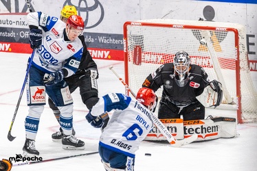 Löwen Frankfurt - Schwenninger Wild Wings - 24.11.23 - 081