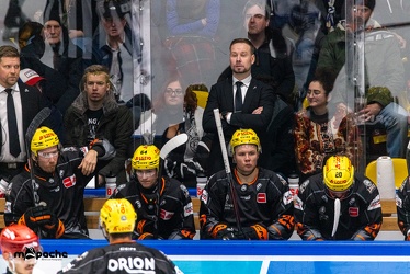 Löwen Frankfurt - Schwenninger Wild Wings - 24.11.23 - 085