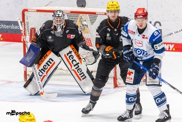Löwen Frankfurt - Schwenninger Wild Wings - 24.11.23 - 101