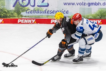 Löwen Frankfurt - Schwenninger Wild Wings - 24.11.23 - 111