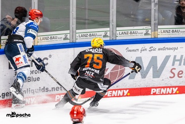 Löwen Frankfurt - Schwenninger Wild Wings - 24.11.23 - 115