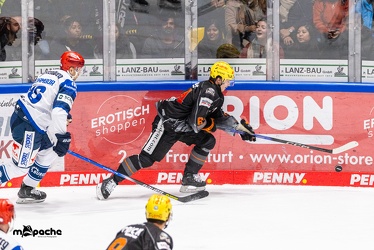 Löwen Frankfurt - Schwenninger Wild Wings - 24.11.23 - 121