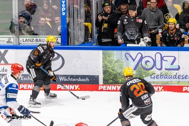 Löwen Frankfurt - Schwenninger Wild Wings - 24.11.23 - 124