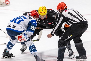 Löwen Frankfurt - Schwenninger Wild Wings - 24.11.23 - 133
