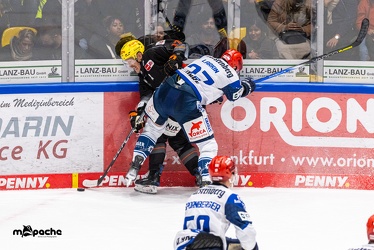 Löwen Frankfurt - Schwenninger Wild Wings - 24.11.23 - 137