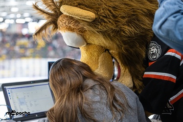 Löwen Frankfurt - Schwenninger Wild Wings - 24.11.23 - 141