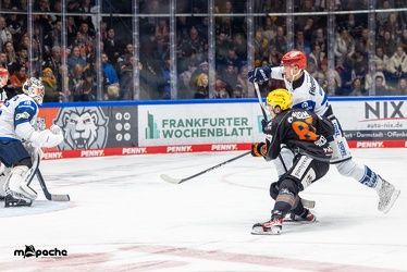 Löwen Frankfurt - Schwenninger Wild Wings - 24.11.23 - 145