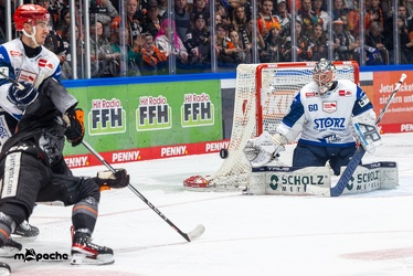 Löwen Frankfurt - Schwenninger Wild Wings - 24.11.23 - 146