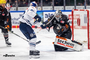 Löwen Frankfurt - Redbull München - 3.12.23 - 022