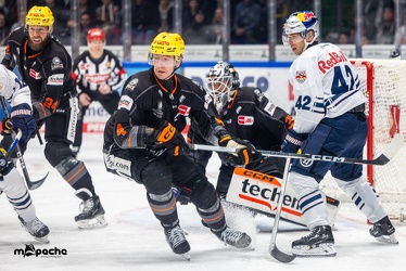 Löwen Frankfurt - Redbull München - 3.12.23 - 023