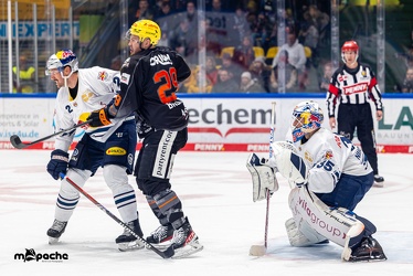 Löwen Frankfurt - Redbull München - 3.12.23 - 035