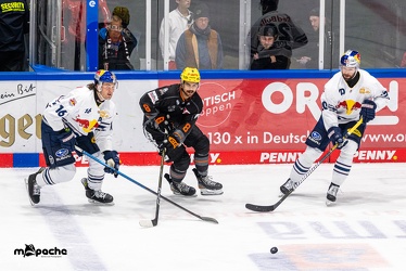 Löwen Frankfurt - Redbull München - 3.12.23 - 059