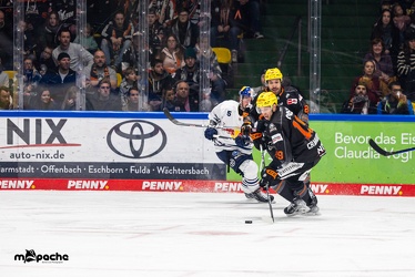 Löwen Frankfurt - Redbull München - 3.12.23 - 111