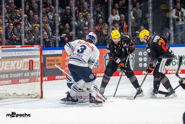 Löwen Frankfurt - Redbull München - 3.12.23 - 121