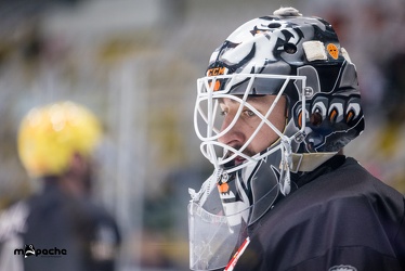 Löwen Frankfurt - Augsburger Panther - 17.12.23 - 009