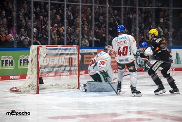 Löwen Frankfurt - Augsburger Panther - 17.12.23 - 031