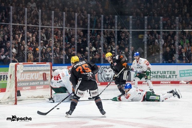 Löwen Frankfurt - Augsburger Panther - 17.12.23 - 032