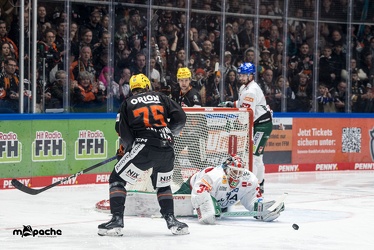 Löwen Frankfurt - Augsburger Panther - 17.12.23 - 033