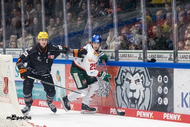 Löwen Frankfurt - Augsburger Panther - 17.12.23 - 037