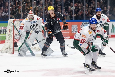 Löwen Frankfurt - Augsburger Panther - 17.12.23 - 039