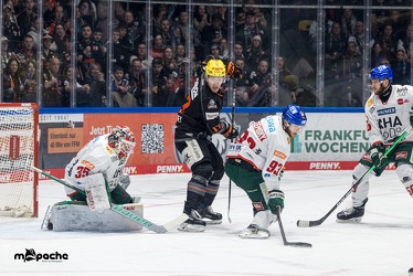 Löwen Frankfurt - Augsburger Panther - 17.12.23 - 040