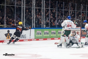 Löwen Frankfurt - Augsburger Panther - 17.12.23 - 044