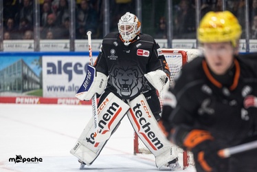 Löwen Frankfurt - Augsburger Panther - 17.12.23 - 053