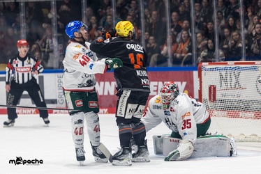 Löwen Frankfurt - Augsburger Panther - 17.12.23 - 056