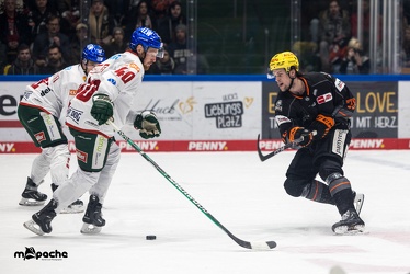 Löwen Frankfurt - Augsburger Panther - 17.12.23 - 060