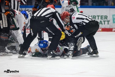 Löwen Frankfurt - Augsburger Panther - 17.12.23 - 062