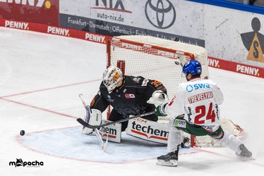 Löwen Frankfurt - Augsburger Panther - 17.12.23 - 068