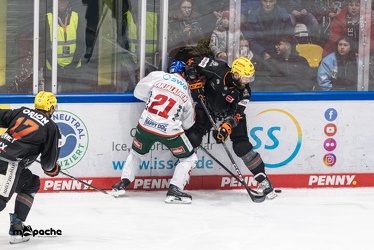 Löwen Frankfurt - Augsburger Panther - 17.12.23 - 069