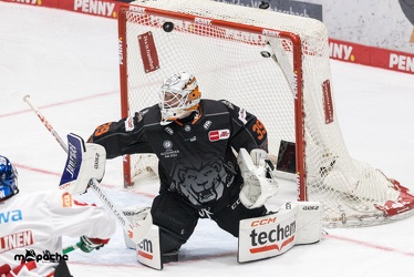 Löwen Frankfurt - Augsburger Panther - 17.12.23 - 070