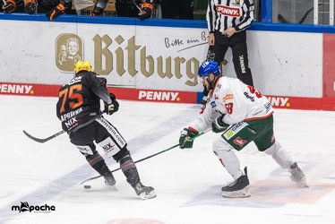 Löwen Frankfurt - Augsburger Panther - 17.12.23 - 071