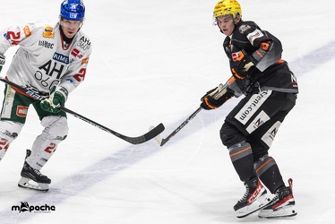 Löwen Frankfurt - Augsburger Panther - 17.12.23 - 078