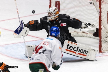 Löwen Frankfurt - Augsburger Panther - 17.12.23 - 079