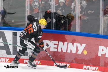 Löwen Frankfurt - Augsburger Panther - 17.12.23 - 080