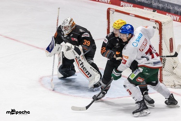 Löwen Frankfurt - Augsburger Panther - 17.12.23 - 096