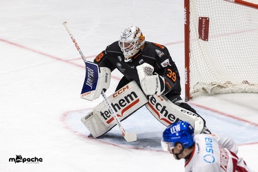 Löwen Frankfurt - Augsburger Panther - 17.12.23 - 100