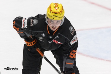 Löwen Frankfurt - Augsburger Panther - 17.12.23 - 104