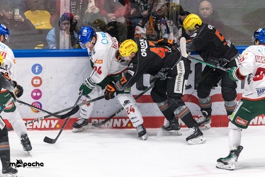 Löwen Frankfurt - Augsburger Panther - 17.12.23 - 105