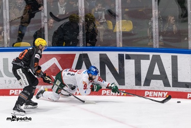 Löwen Frankfurt - Augsburger Panther - 17.12.23 - 108