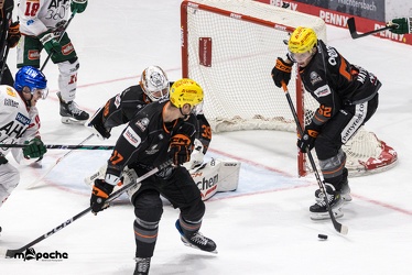 Löwen Frankfurt - Augsburger Panther - 17.12.23 - 112