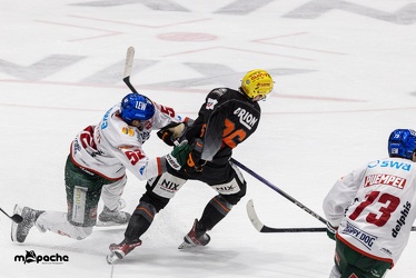 Löwen Frankfurt - Augsburger Panther - 17.12.23 - 114